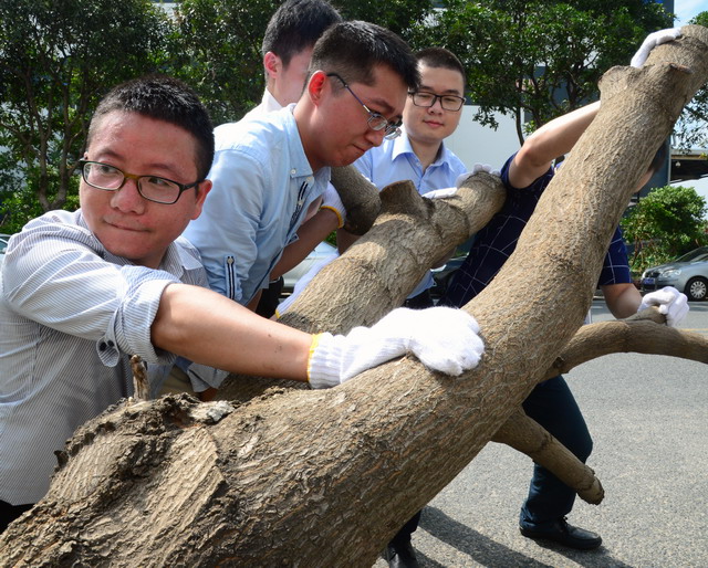 梁伟2016091891自拍
专版1_调整大小.JPG